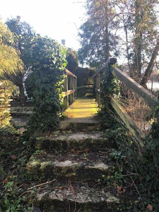 Eco-Friendly Dorset Cottage With Spa Set In Heart Of Countryside Sydling St Nicholas Extérieur photo