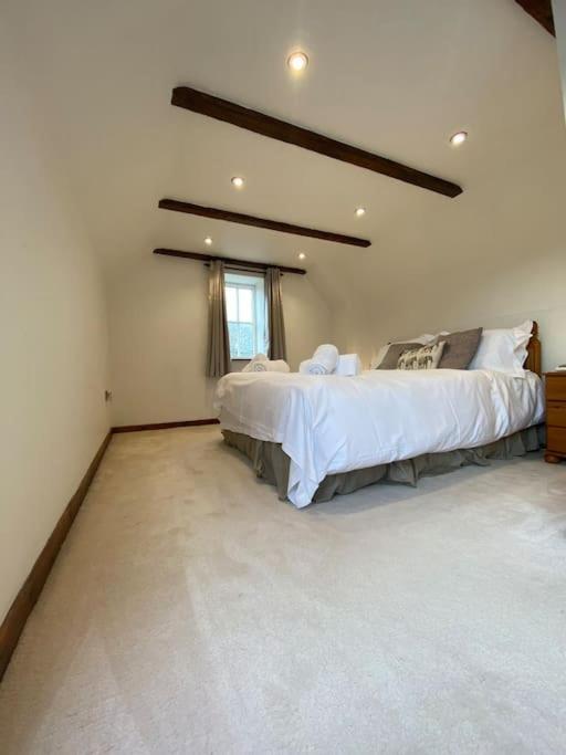 Eco-Friendly Dorset Cottage With Spa Set In Heart Of Countryside Sydling St Nicholas Extérieur photo