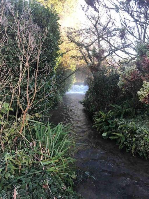 Eco-Friendly Dorset Cottage With Spa Set In Heart Of Countryside Sydling St Nicholas Extérieur photo