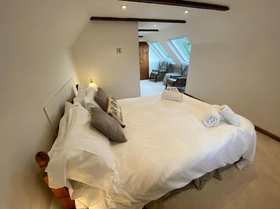 Eco-Friendly Dorset Cottage With Spa Set In Heart Of Countryside Sydling St Nicholas Extérieur photo